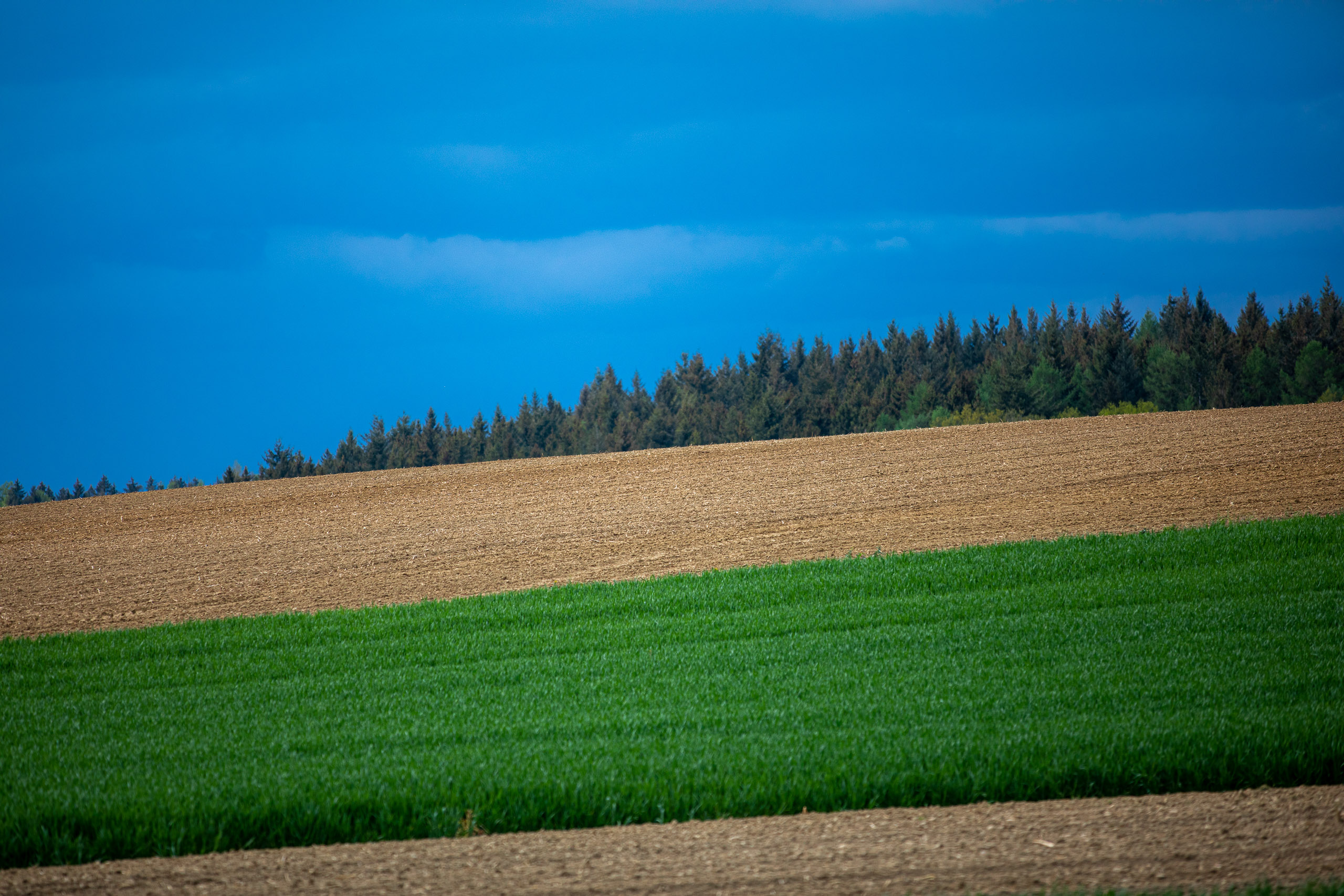 20230507154133 RD4 3986